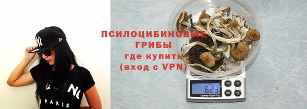 сатива Арсеньев