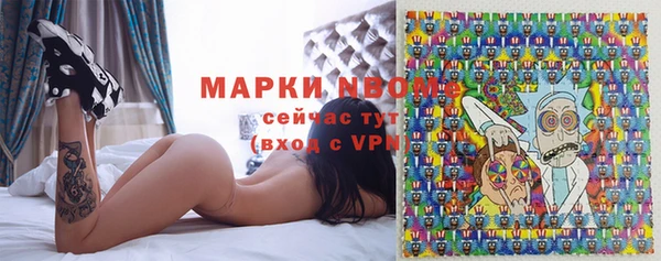 сатива Арсеньев