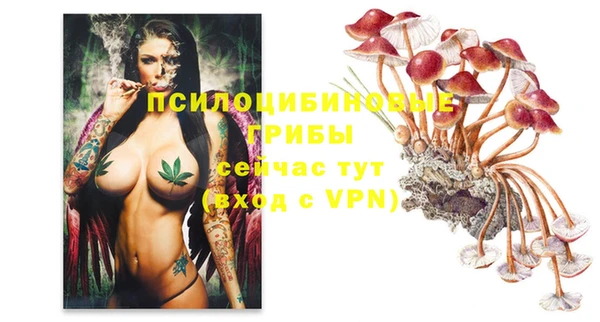 марихуана Болотное