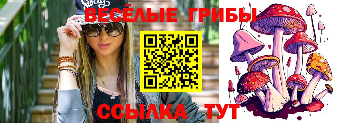 Псилоцибиновые грибы MAGIC MUSHROOMS  Вход с VPN  Елабуга 