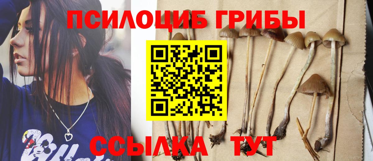 Псилоцибиновые грибы ЛСД Елабуга